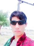 احمد شاه, 20 лет, تِهران
