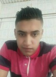 Mokhtar, 29 лет, Hammam Bou Hadjar