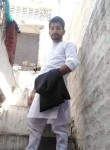 Ali shah, 28 лет, لاہور