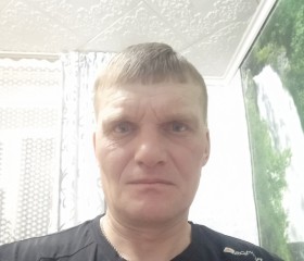 Владимир, 44 года, Петропавл