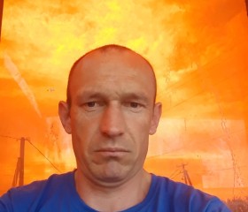 Nik, 40, Liski