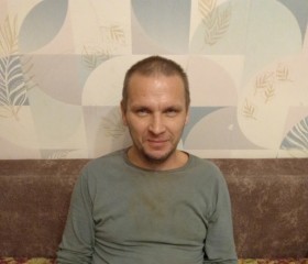 Sasha, 43 года, Петрозаводск