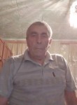 Владимир, 74 года, Краснодар