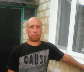 Александр, 41 год, Новосиль