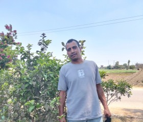 نبيل, 50, Minuf
