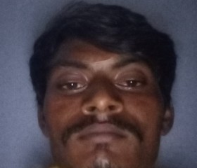 Parveen, 31 год, Surendranagar
