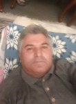 Saeid, 62 года, تِهران
