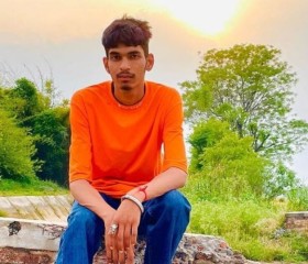 Shiv kumar, 19 лет, Ludhiana