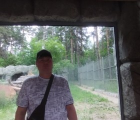 Митя, 37 лет, Новосибирск