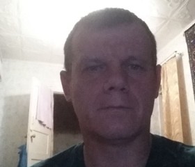 Олег, 46 лет, Приютное