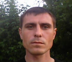 Вадим, 37 лет, Лиски