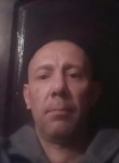 Митис, 44 года, Ярославль