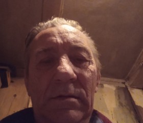 Евгений Галушко, 75 лет, Новомалороссийская
