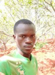 Sanogo solo, 27 лет, Bamako