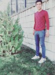 Mehmet, 28 лет, Vezirköprü