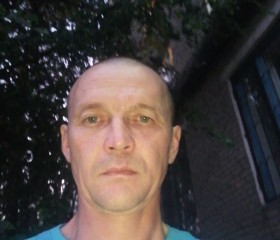 Владимир, 44 года, Канаш