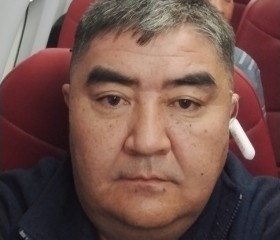 Тимур Алыбаев, 47 лет, Санкт-Петербург