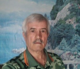 Евгений, 71 год, Павловская