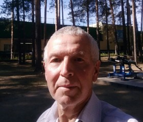 Владимир, 65 лет, Чернушка