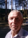 Владимир, 65 лет, Чернушка