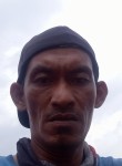 Roy, 43 года, Kota Medan