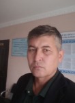 Тимур, 44 года, Toshkent