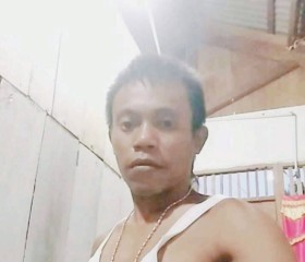 wandio, 41, Bengkulu