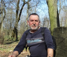 Viktor, 71, Minsk