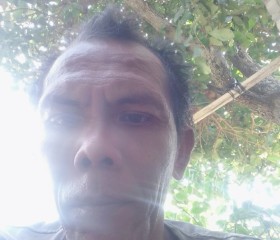 Ahmad fauzi, 50 лет, Kota Mataram