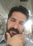 Zulfaqar Ali, 37 лет, اسلام آباد