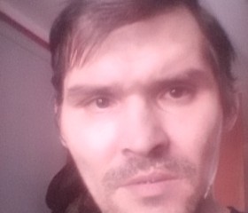 Иван, 44 года, Павловск (Алтайский край)