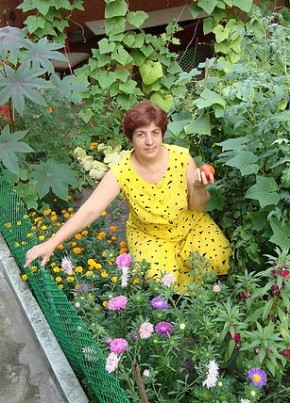 Зинаида, 60, Россия, Белгород