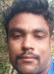 Ajay kamar, 28 лет, Daryāpur