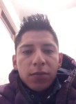 Luis, 29 лет, México Distrito Federal