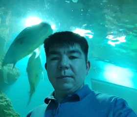 Ildar, 35, Yekaterinburg