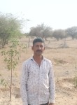 Juci, 25 лет, Jaisalmer