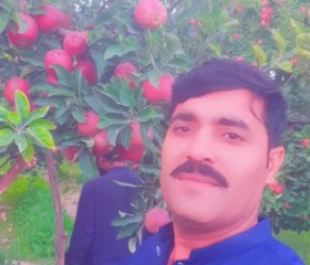 Akhtar ali, 33 года, اسلام آباد