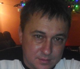 Владимир, 43 года, Гагарин