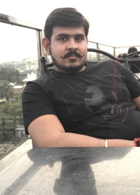 Arnav, 29, India, Udaipur (State of Rājasthān)