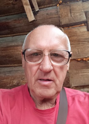 Виктор из Бреды 66 лет