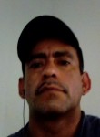 Saul grano, 45 лет, Santiago Ixcuintla