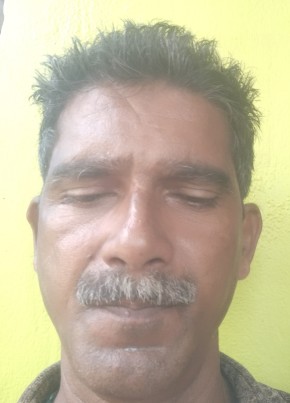 Shibu pv, 50, India, Kochi
