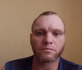 Александр., 42 года, Краснодар