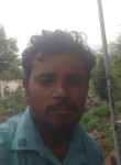 Rajesh dhadhal, 31 год, Amreli
