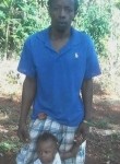 Oshane, 34 года, Mandeville