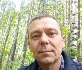 Владимир, 45 лет, Нягань