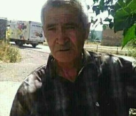  Andranik, 63 года, Հրազդան