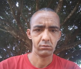 mauricio borges , 45 лет, João Pinheiro