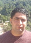 Reza, 31 год, نجف آباد