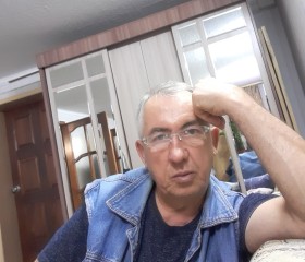 Анатолий, 63 года, Лиски